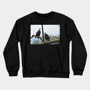 Bald Eagles Crewneck Sweatshirt